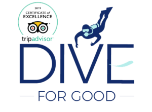 dive_for_good_dive_seenigama_dive_lanka_hikkaduwa